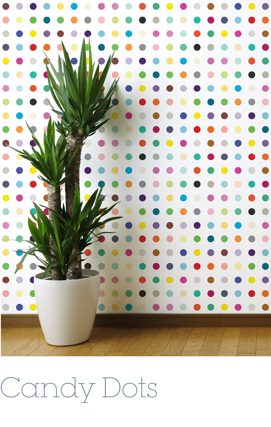Candy Dot