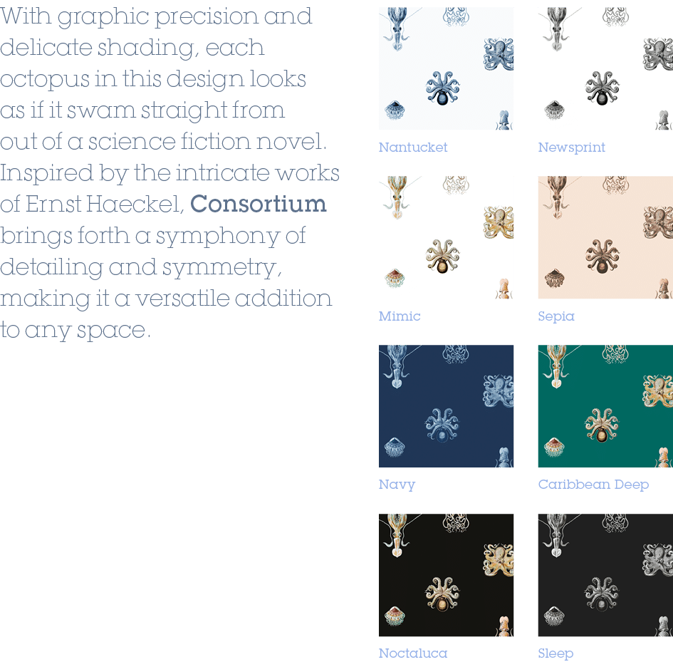 Sepia,Caribbean Deep,Sleep,Newsprint,Mimic,Navy,Noctaluca,Nantucket,With graphic precision and delicate shading, each...